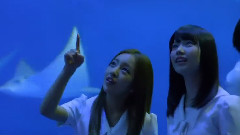 さよならクロール Music Video 中日特效字幕