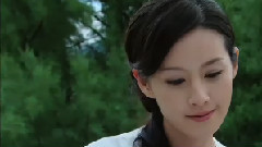 蒲公英