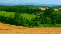 I Live In Such A Place
