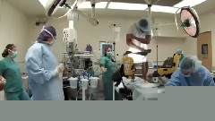 Harlem Shake