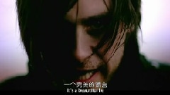 A Beautiful Lie