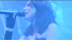 Lowlands Show