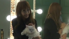 I Love Pet CeCi