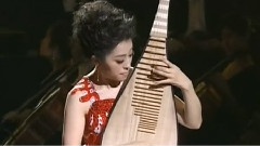 绽放