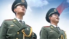 守护绿色长廊