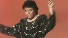 一段情