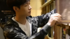 似是故人来