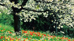 Les Jardins Du Monde