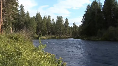 Follow The River