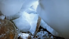 北极冰雪