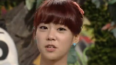 SBS TV Animal Falm