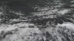 Sumi-E
