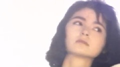 想你在风中