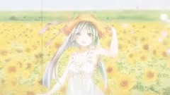 夏少女