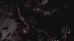 Biohazard Outbreak1 OP