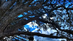 Lost Three(Trance mix 2015)