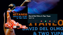 Gitaneo