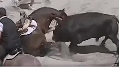 Life and death moment The deadly attack by herbivores to the beast