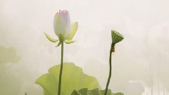 六字真言颂怙主三宝(蒙古语)