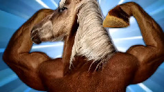 立陶宛矿泉水无节操广告