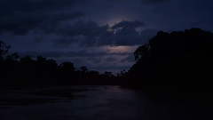 亚马逊丛林之梦