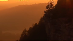 Bernward Koch New Morning