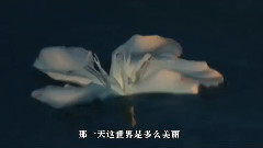 雨中的飘荡的回忆简谱_雨中飘荡的回忆图片(3)