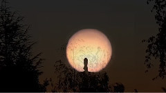 Moon Flight