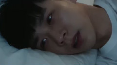 梦