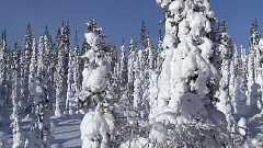 SHOW ME 莫雅.布伦南