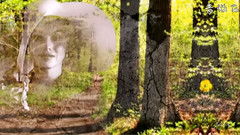 华丽的旋律 Великолепная мелодия