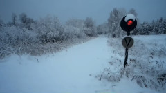 假如爱有天意(吟唱)