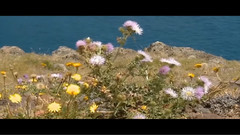 Song For A Stormy Night