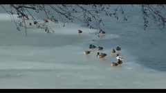 The Sound Of Silence