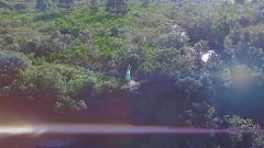 Brilha Deus
