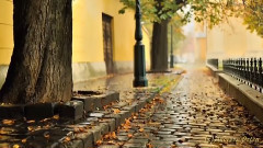 Mamma(Album Romantico)