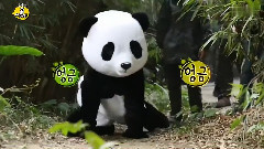 Animals Yuri Cut