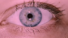 Heartbroken, In Disrepair