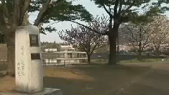 枉凝眉(葫芦丝)