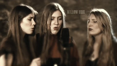 Willow Tree