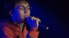 体贴