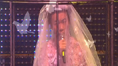 白玫瑰
