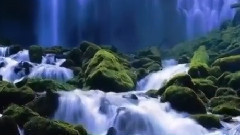 帕维尔.博罗金,我需要你