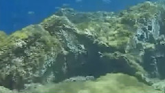 他一定很爱你(萨克斯)