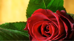 Beautiful Romantic Spanish Guitar Music!