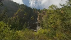 真的好想你(二胡)