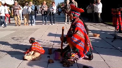 最后的莫西干人