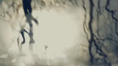 Will O The Wisp