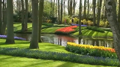 荷兰春天的风景