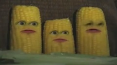 吓坏了玉米棒子